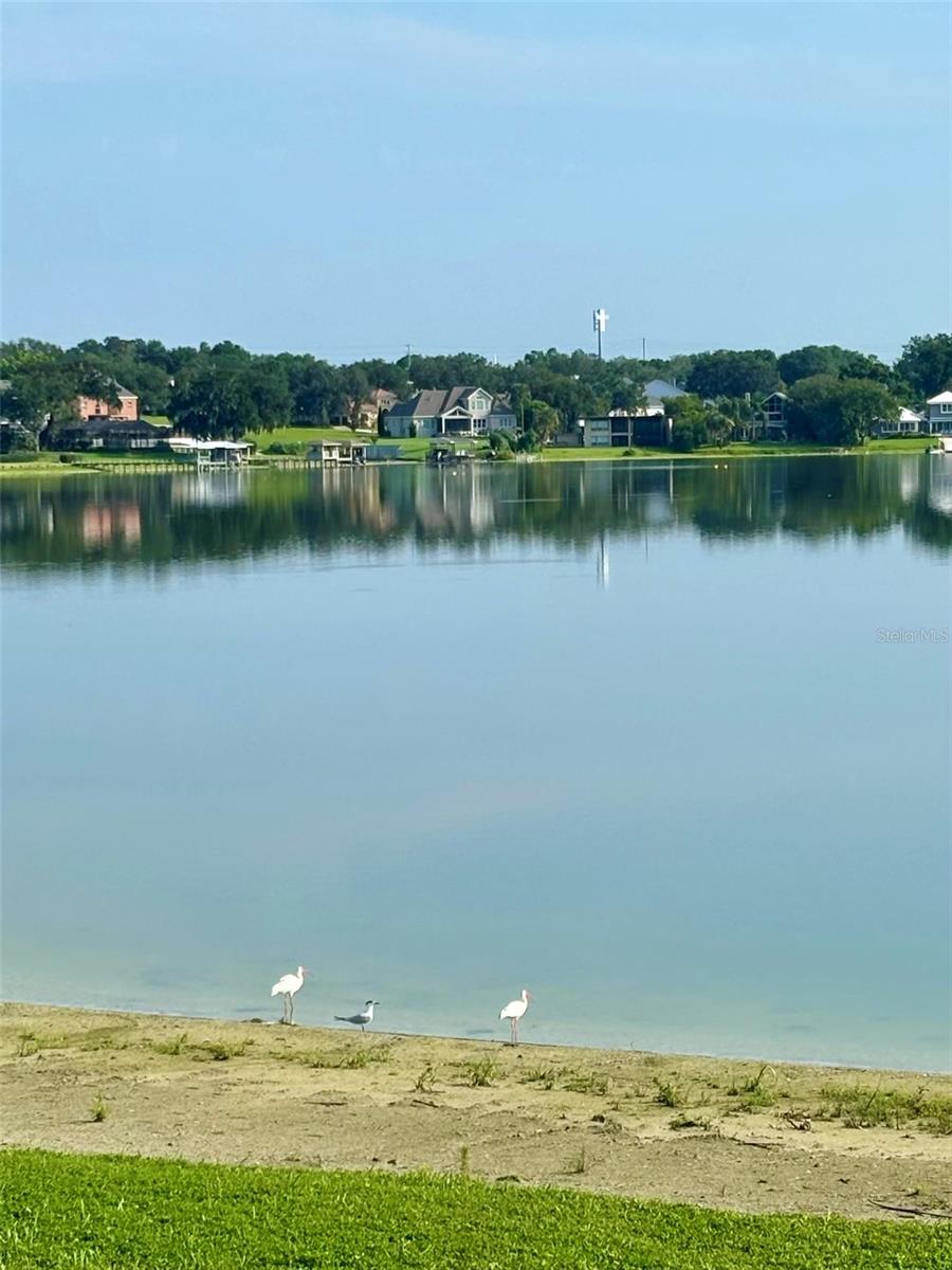 Photo of 9 CASA LOMA WAY #9 LAKELAND FL 33813