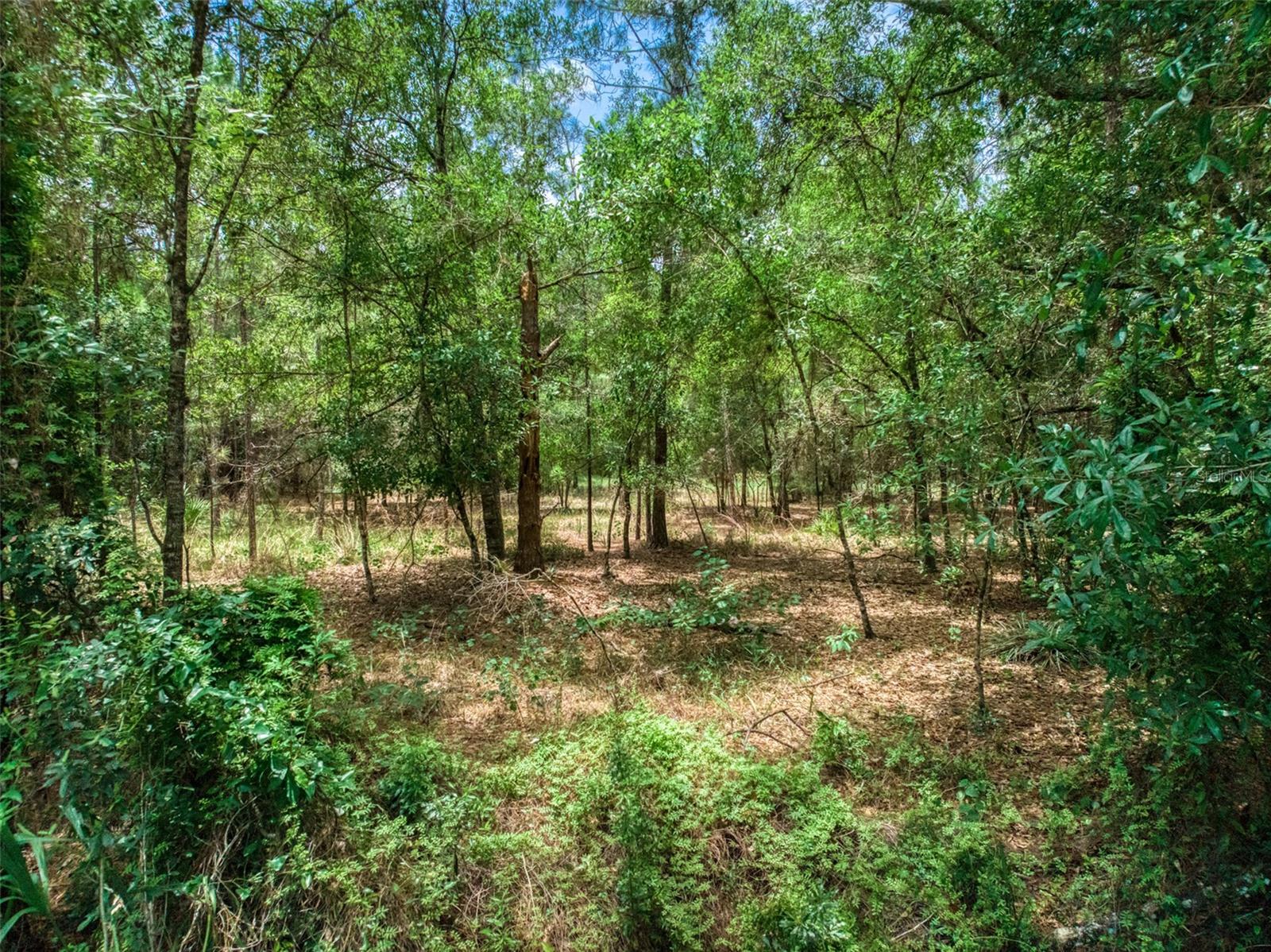 Photo of 5101 WHIPPOORWILL ROAD SEBRING FL 33875