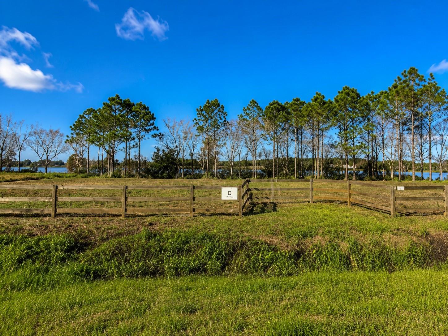 Photo of 1380 OLD BREWSTER ROAD FORT MEADE FL 33841