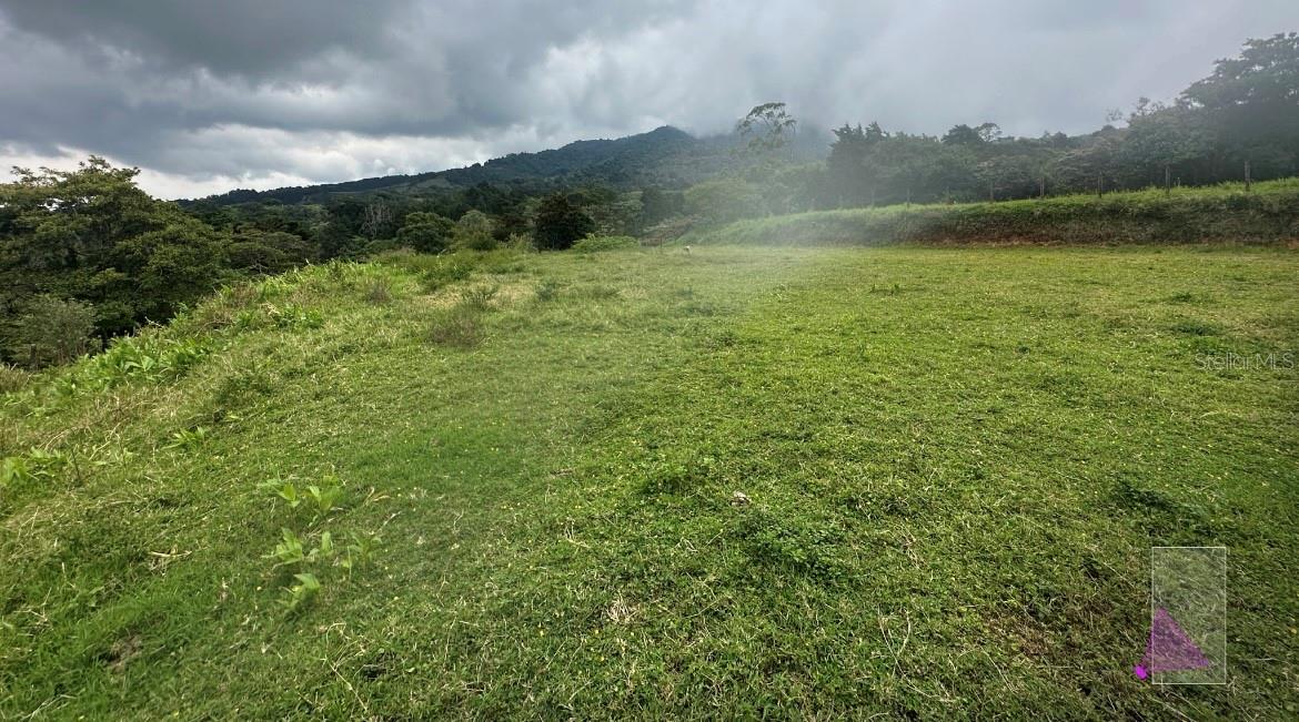 Photo of SAN JOSESITO HEREDIA OC 40601