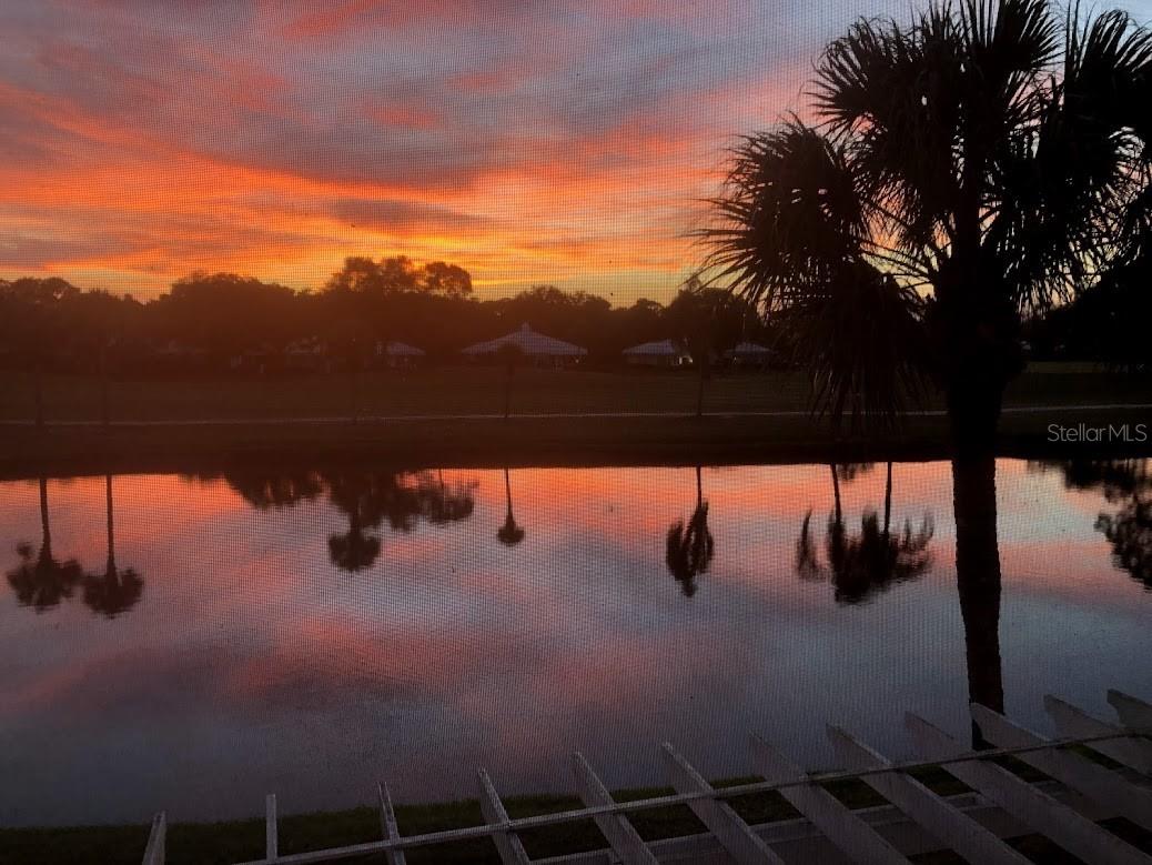 Photo of 425 CERROMAR TERRACE #459 VENICE FL 34293