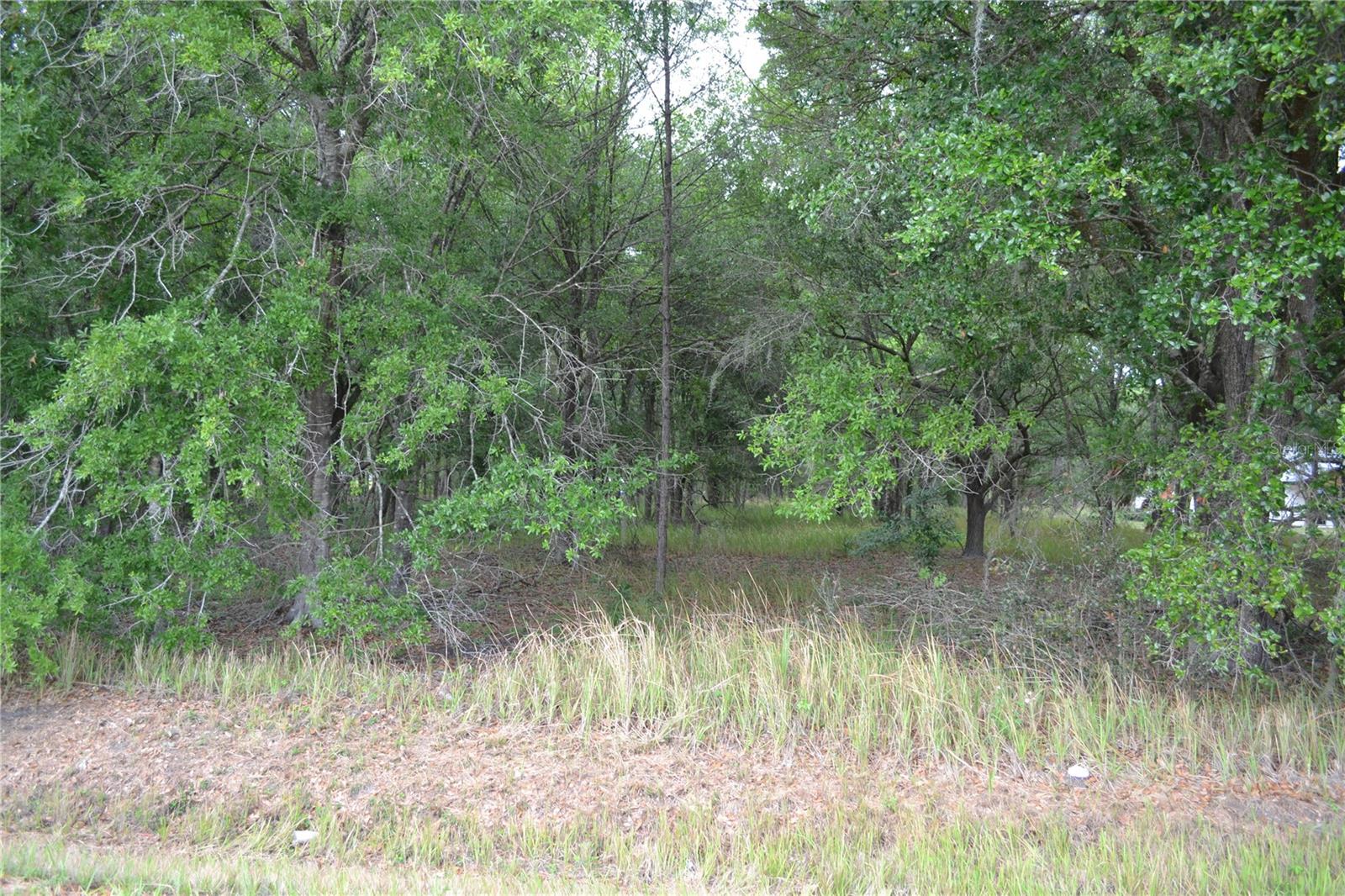 Photo of BOSTICK ROAD BOWLING GREEN FL 33834