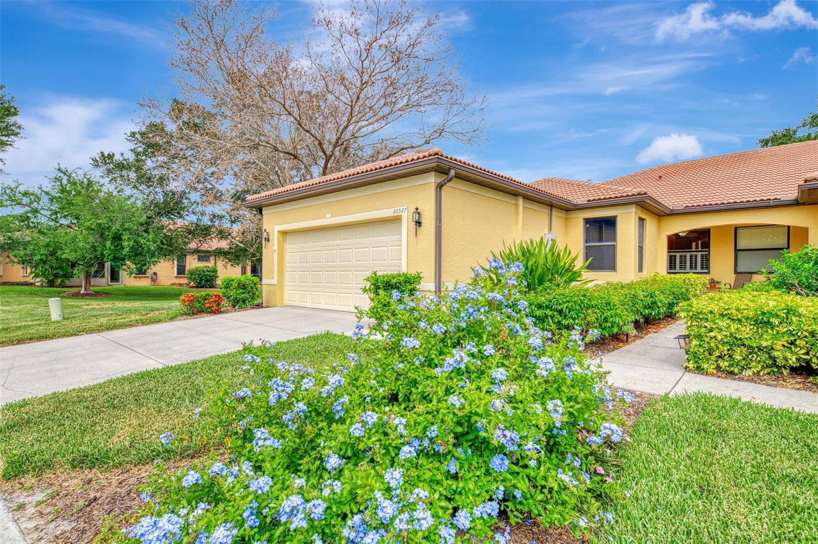 Photo of 20567 CORNARO COURT VENICE FL 34292