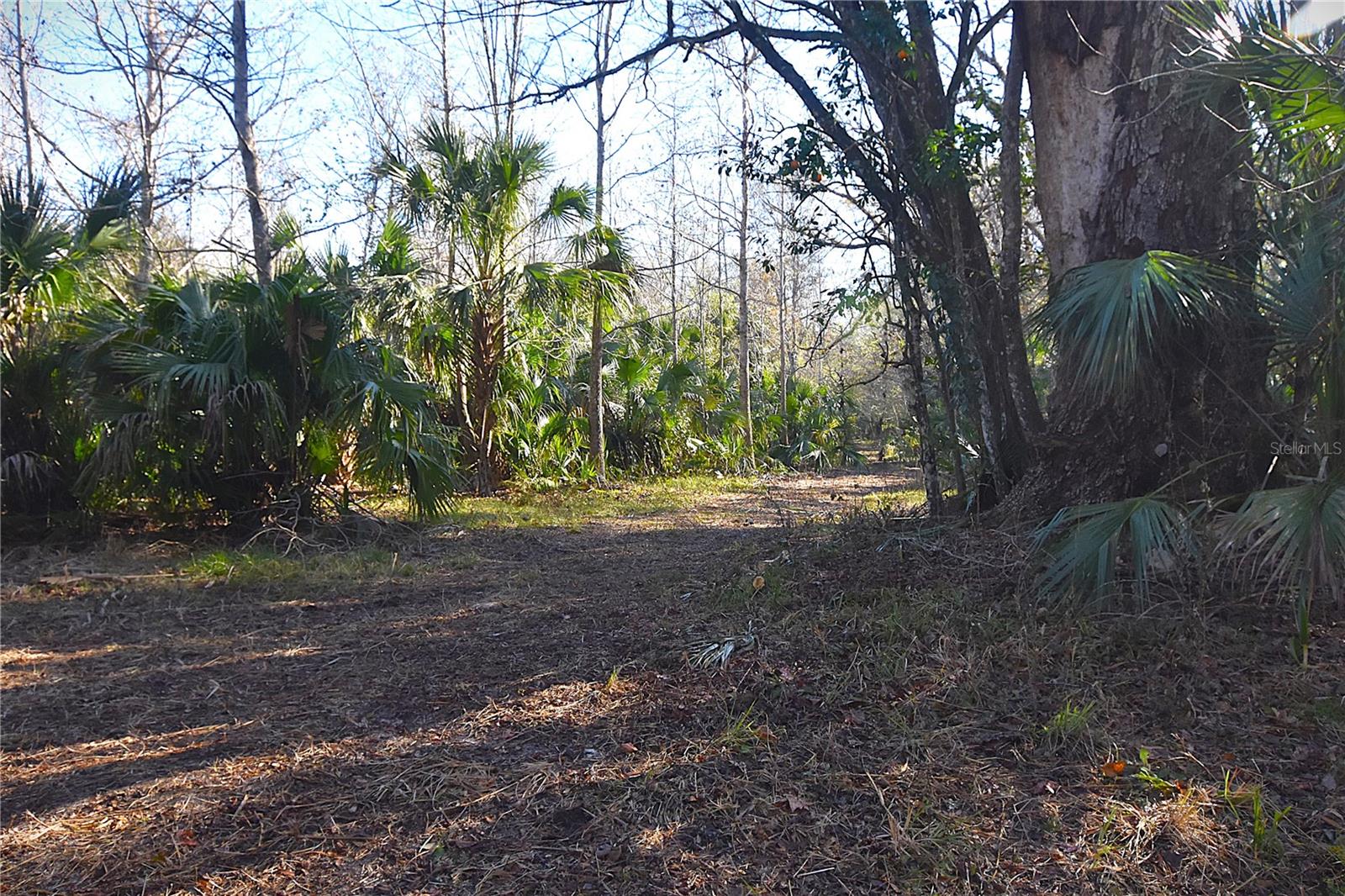 Photo of 4721 LINGO GROVE ROAD EDGEWATER FL 32141
