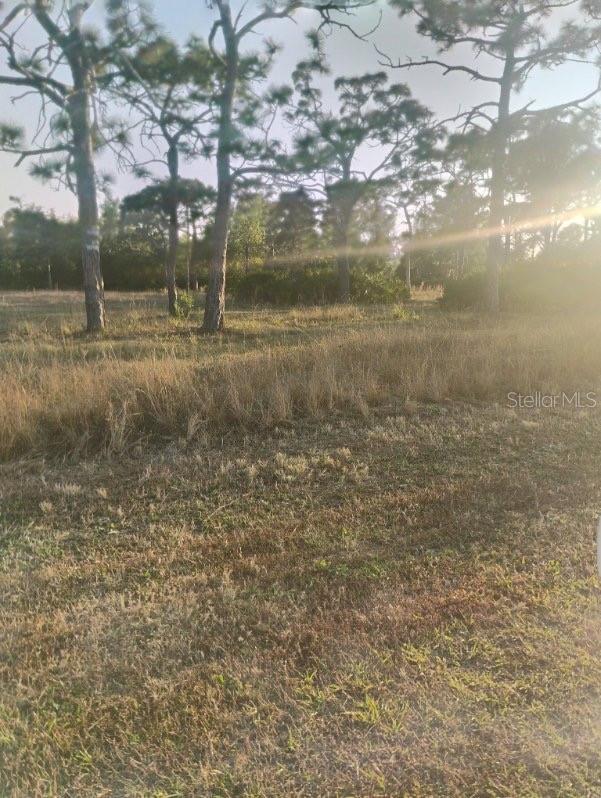 Photo of 6820 STRINGFELLOW ROAD ST JAMES CITY FL 33956
