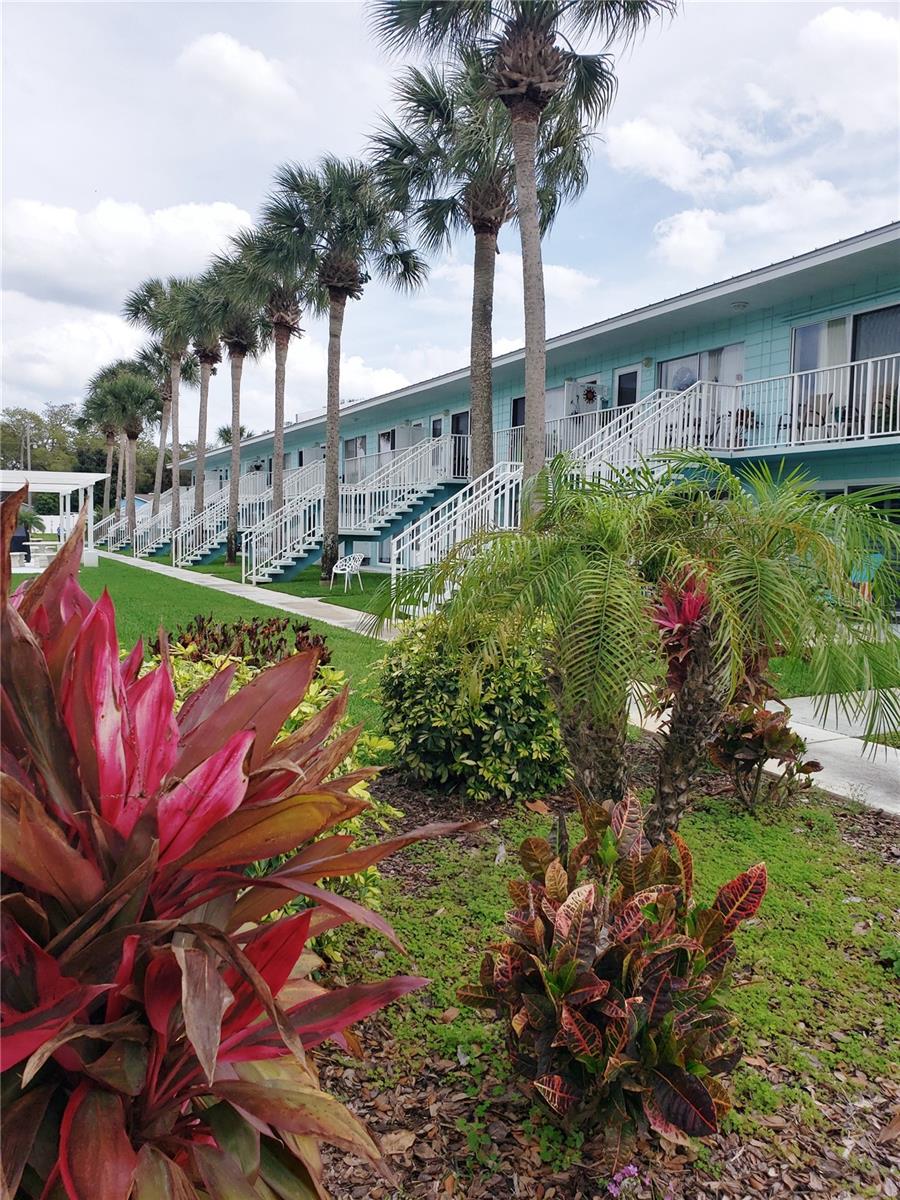 Photo of 541 S PENINSULA AVENUE #A21 NEW SMYRNA BEACH FL 32169