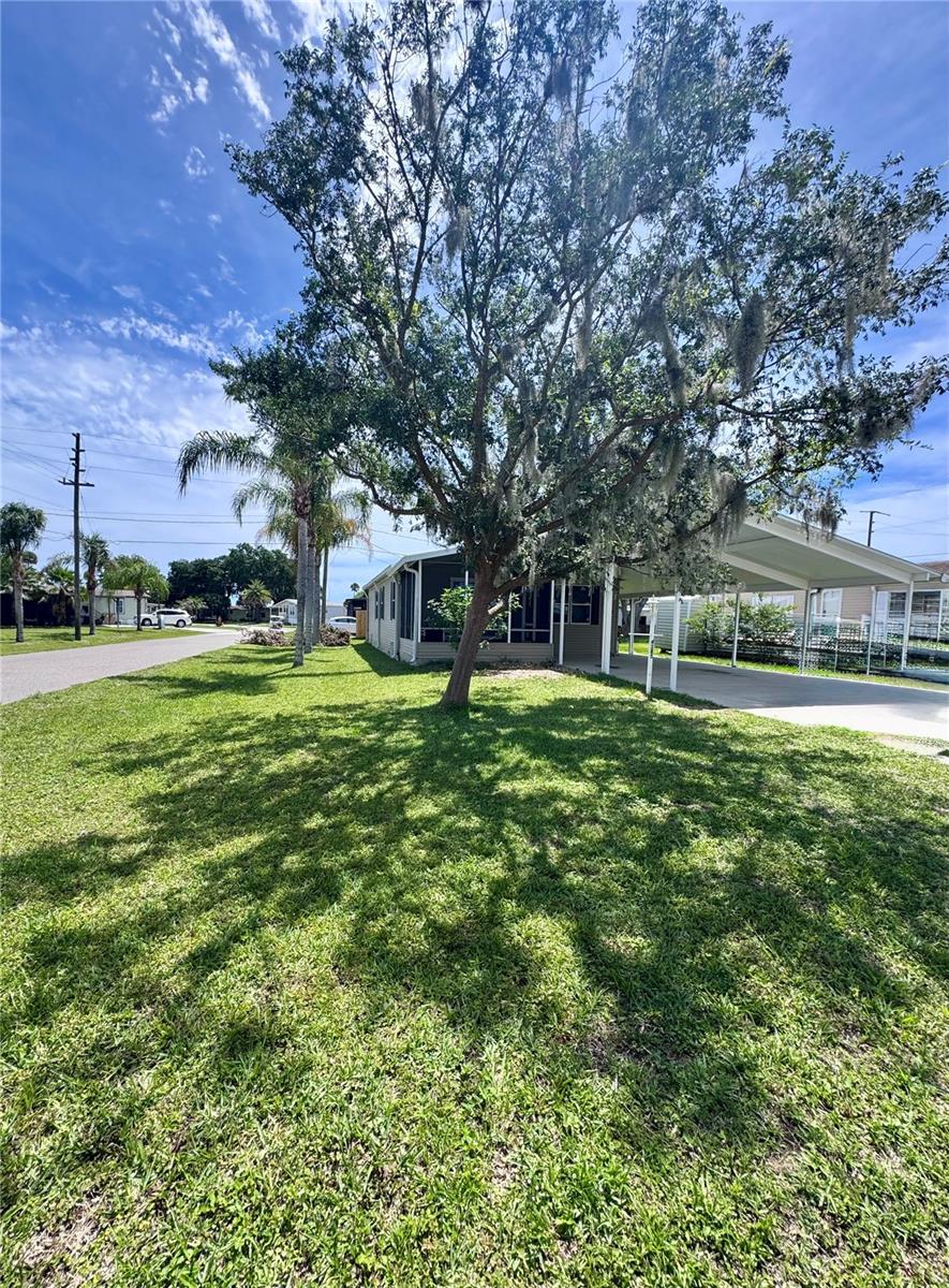 Photo of 4385 MAPLE AVENUE EDGEWATER FL 32141