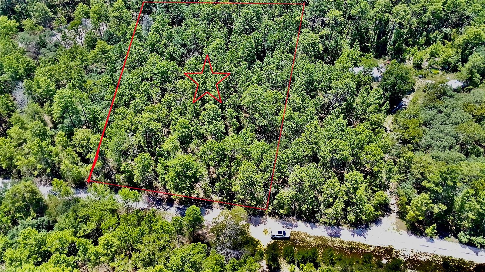 Photo of 121 PEAR STREET WELAKA FL 32193