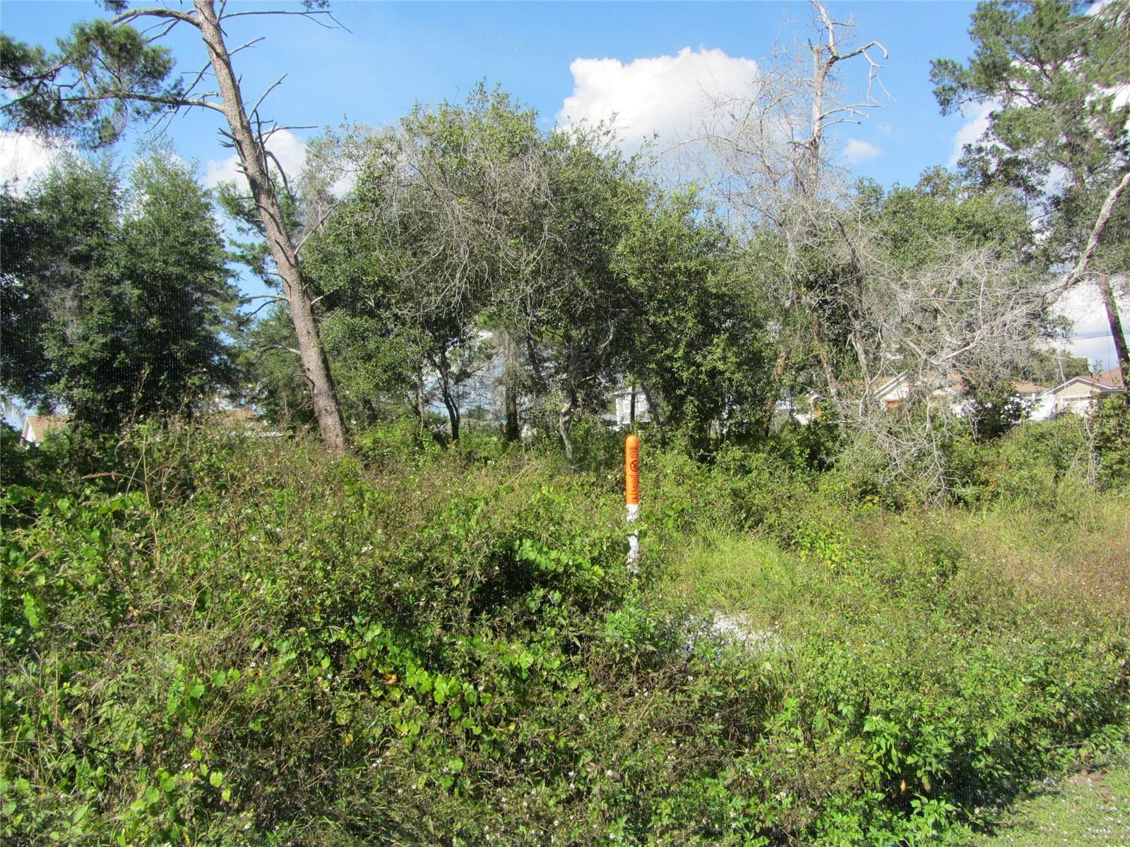 Photo of 1684 CATALINA BLVD DELTONA FL 32738