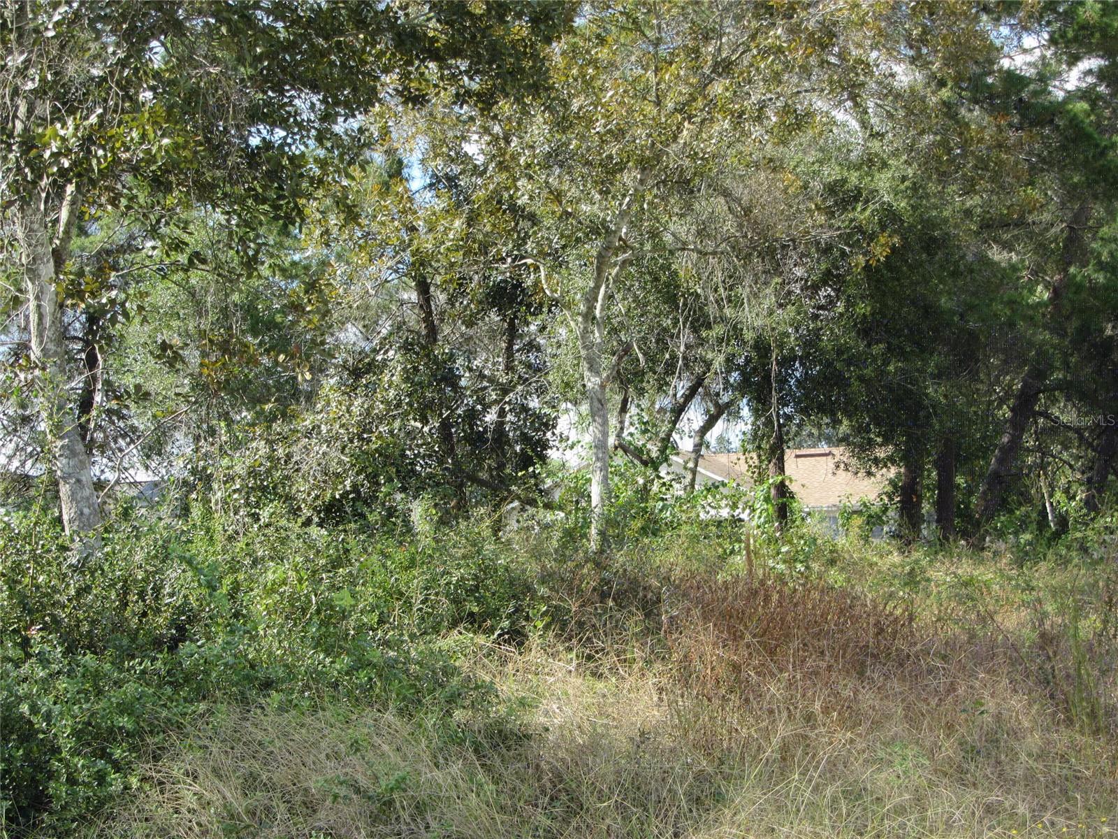 Photo of 1688 CATALINA BLVD DELTONA FL 32738