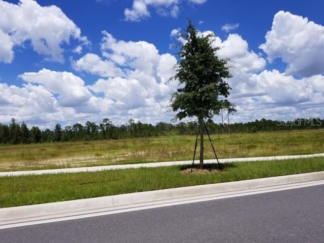 Photo of S APOPKA VINELAND ORLANDO FL 32821