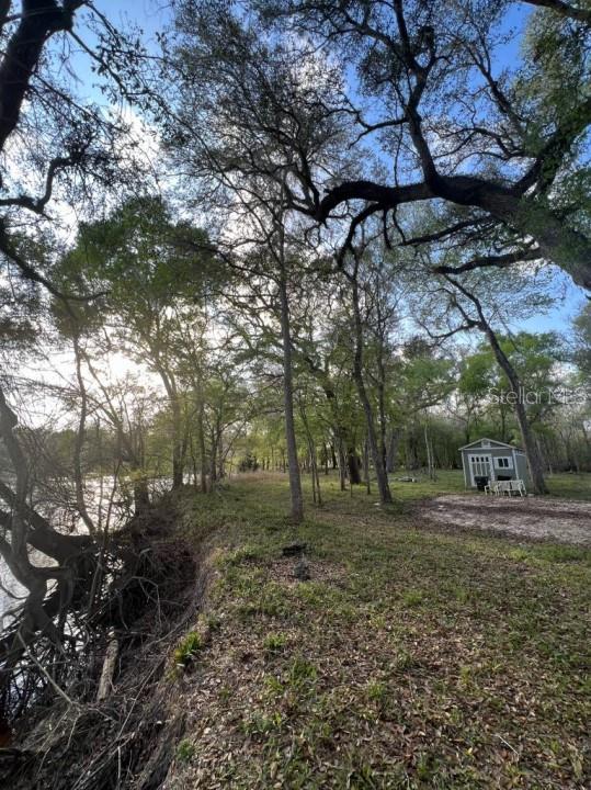 Photo of 1263 NW 82ND TERRACE BELL FL 32619