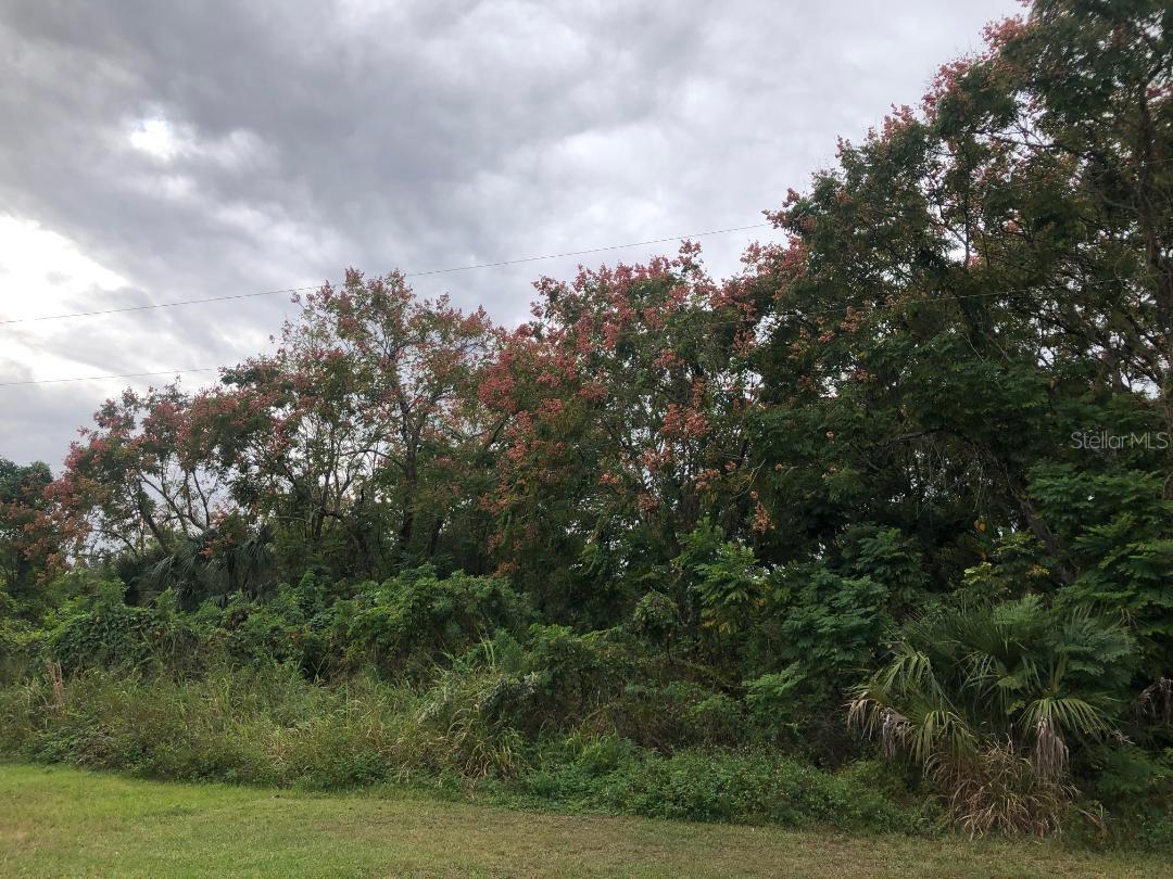 Photo of VIRGINIA DRIVE ALTAMONTE SPRINGS FL 32714