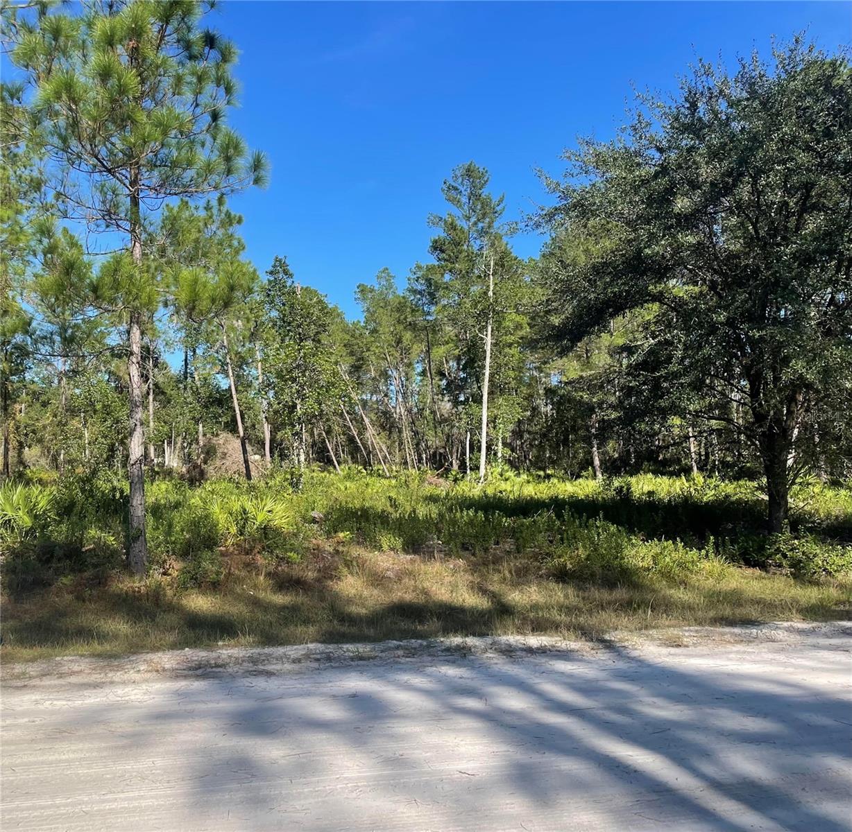 Photo of 224 PLUMOSA DRIVE GEORGETOWN FL 32139