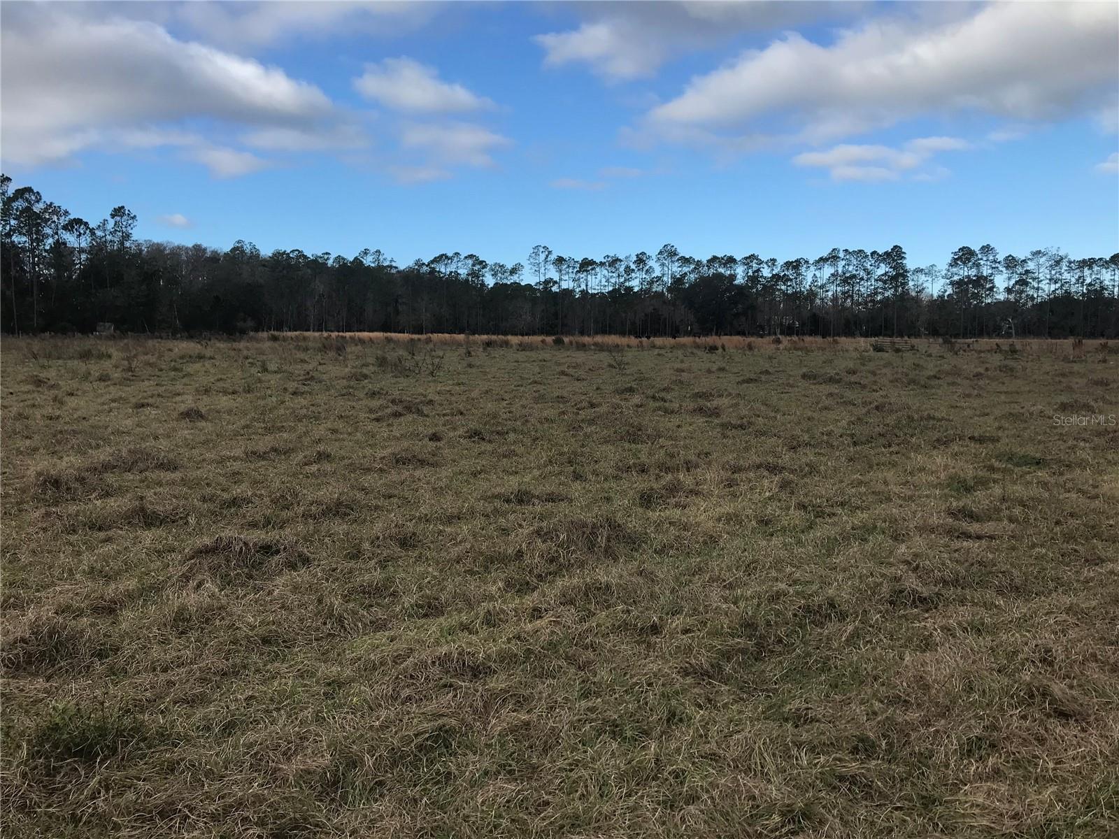 Photo of 1325 FORT CHRISTMAS ROAD CHULUOTA FL 32766