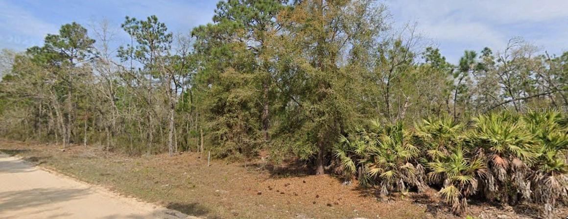 Photo of UNION AVENUE INTERLACHEN FL 32148