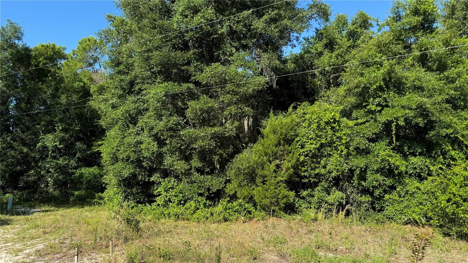 Photo of 8045 NE 307TH AVENUE FORT MC COY FL 32134