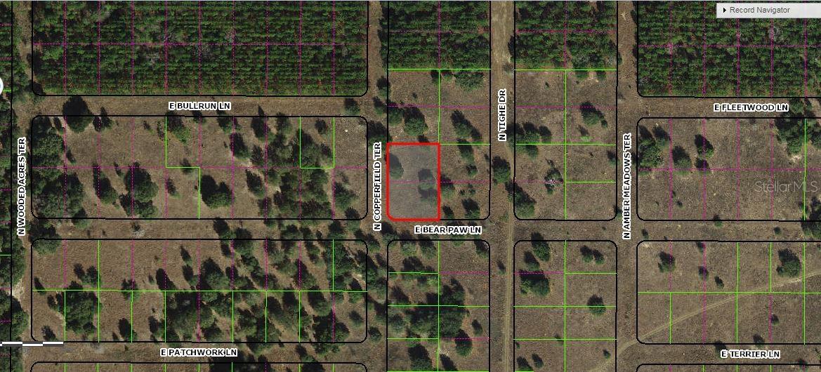 Photo of 229 N COPPERFIELD TERRACE INVERNESS FL 34453