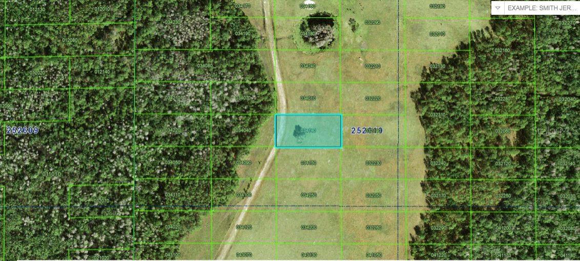 Photo of COMMONWEALTH AVENUE POLK CITY FL 33868