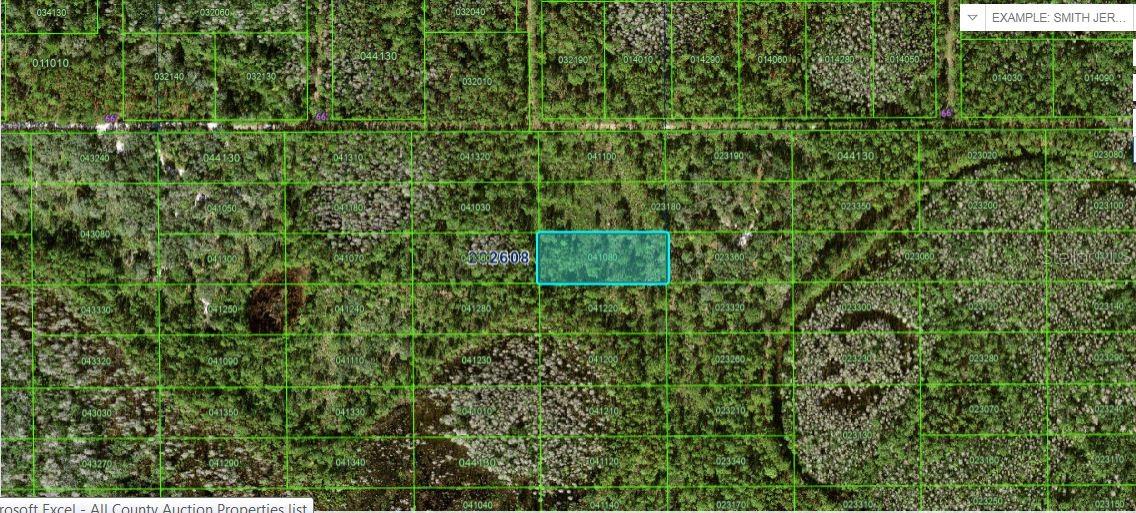 Photo of N/A POLK CITY FL 33868