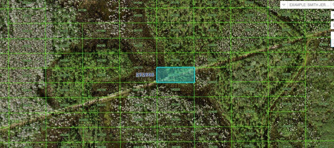 Photo of N/A POLK CITY FL 33868