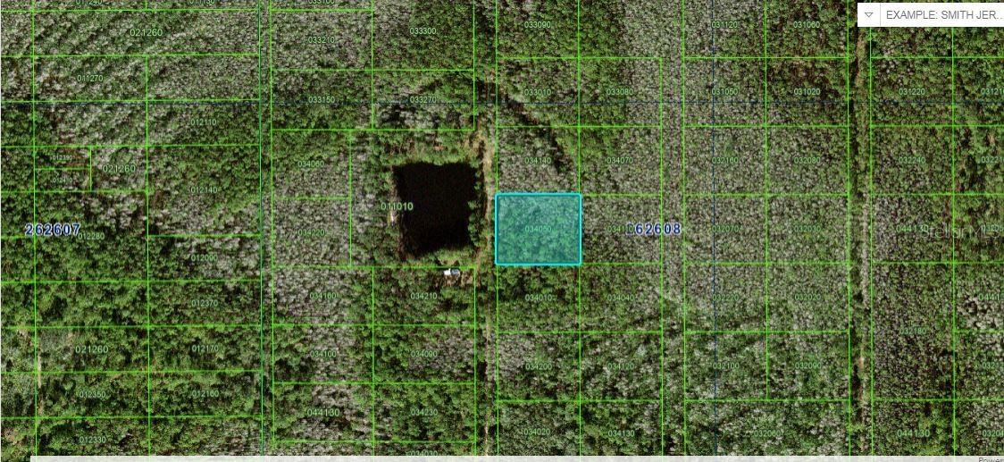 Photo of N/A POLK CITY FL 33868