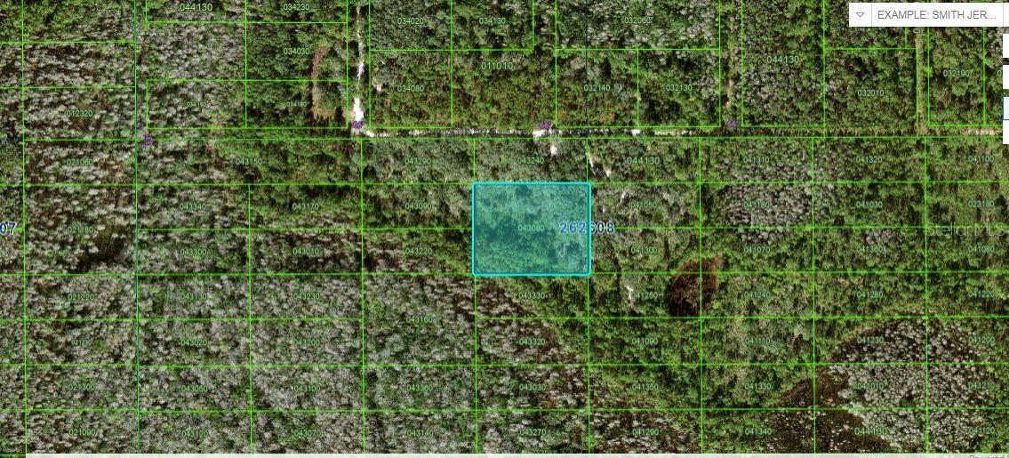 Photo of N/A POLK CITY FL 33868
