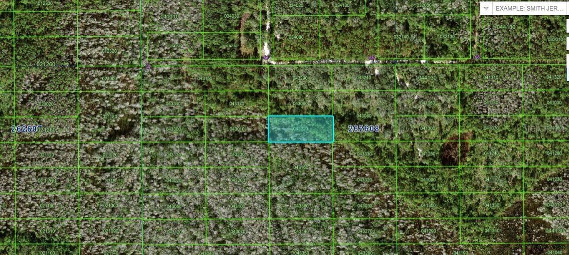 Photo of N/A POLK CITY FL 33868
