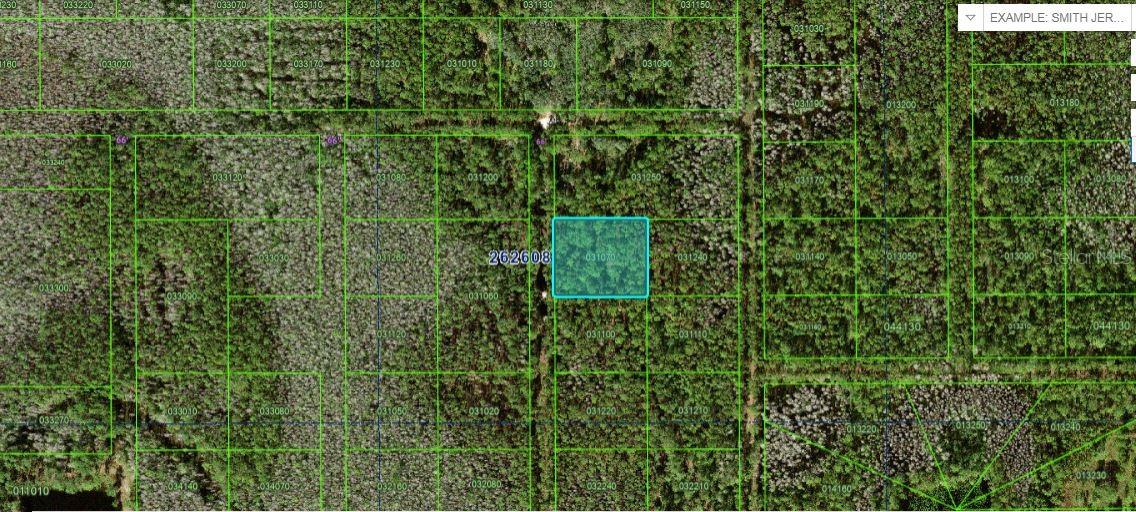 Photo of N/A POLK CITY FL 33868