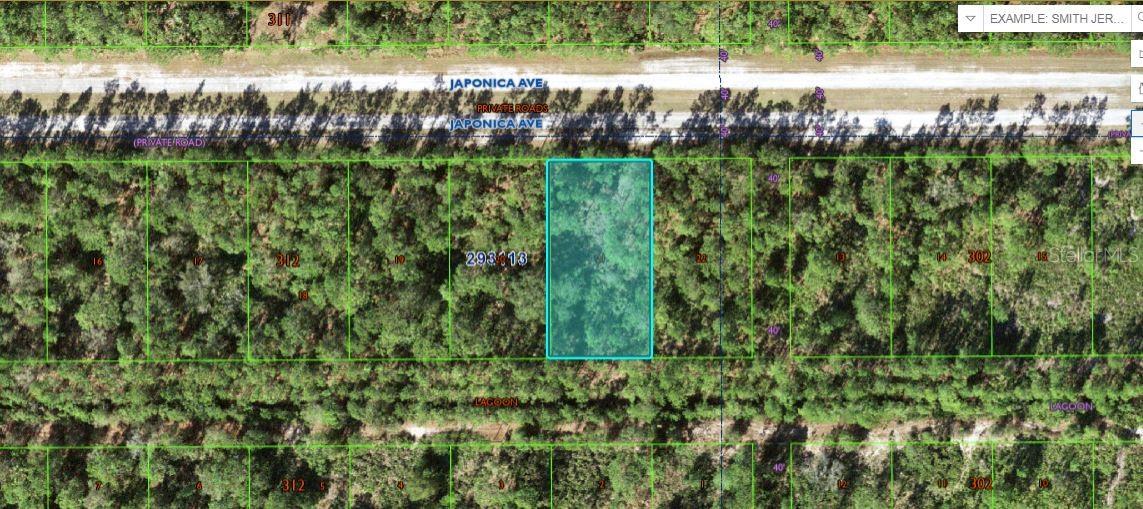 Photo of 1103 JAPONICA AVENUE INDIAN LAKE ESTATES FL 33855