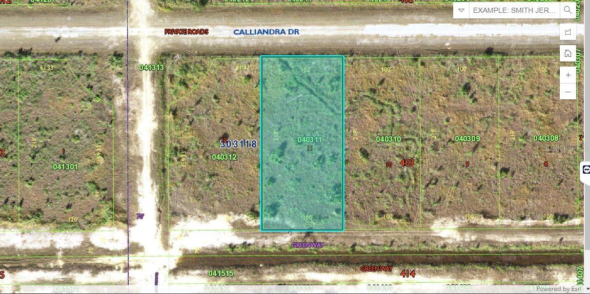 Photo of 621 CALLIANDRA DRIVE LAKE WALES FL 33855