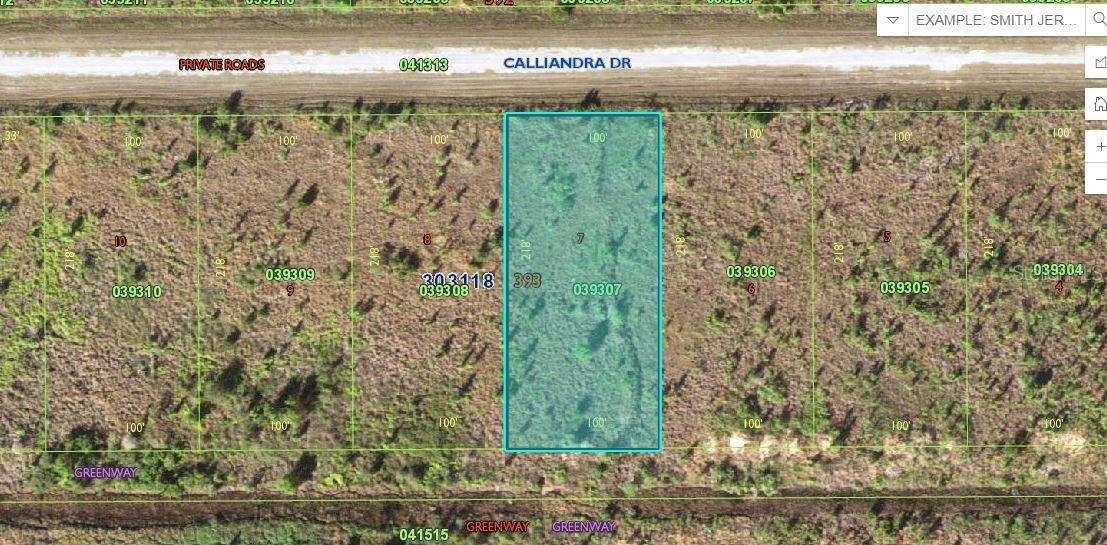 Photo of CALLIANDRA DRIVE LAKE WALES FL 33855