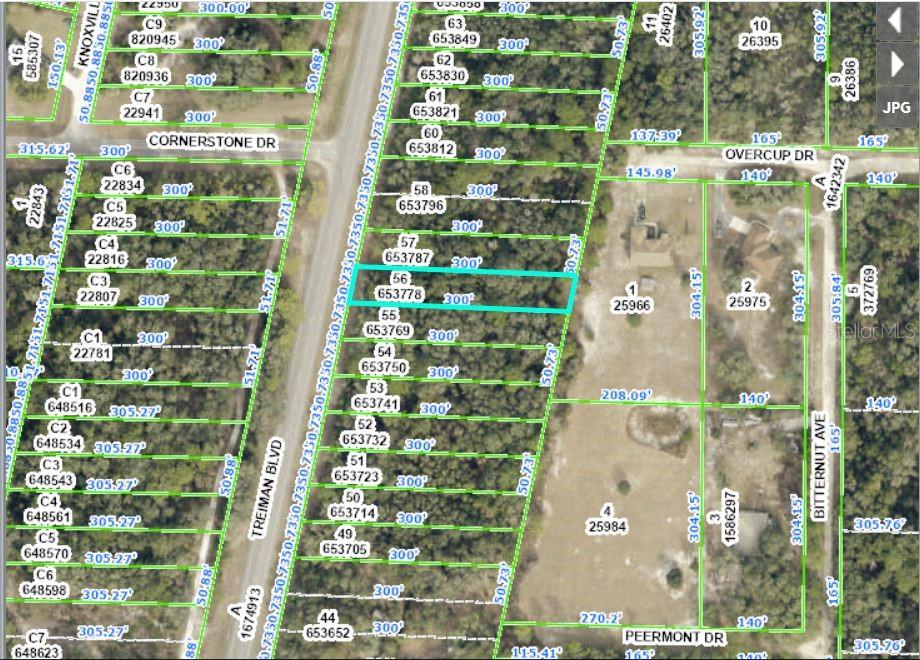 Photo of 8086 TREIMAN BLVD BOULEVARD WEBSTER FL 33597