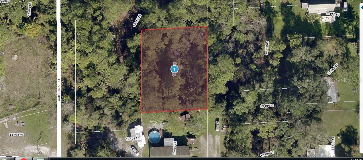 Photo of MARYLAND STREET PAISLEY FL 32767