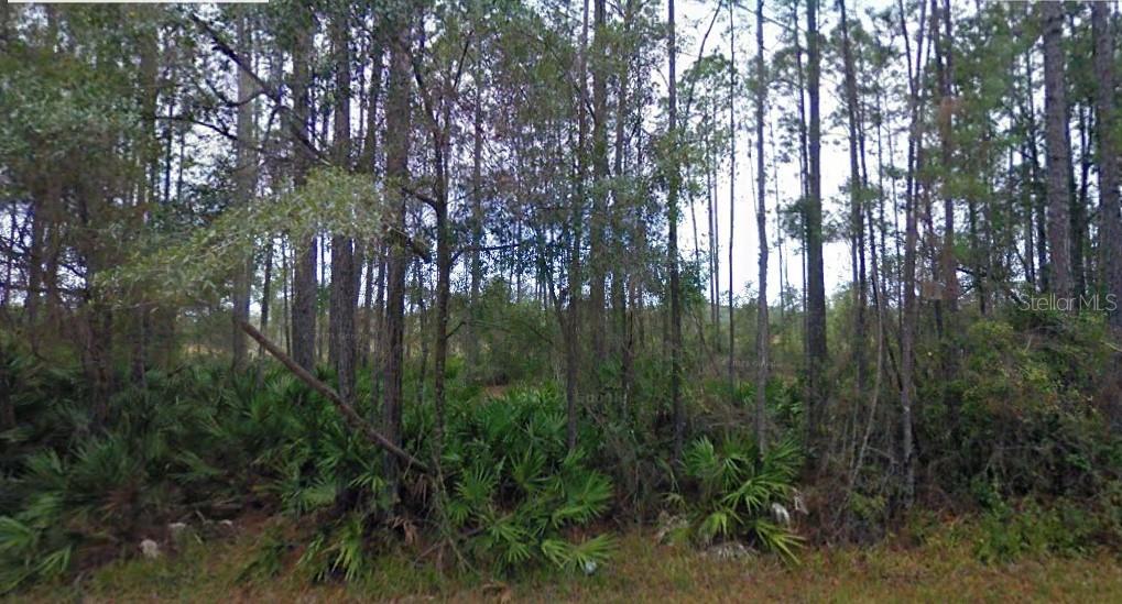 Photo of NE 65TH AVENUE CITRA FL 32113