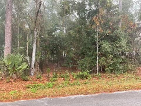 Photo of 0 SE 99TH AVENUE BELLEVIEW FL 34420