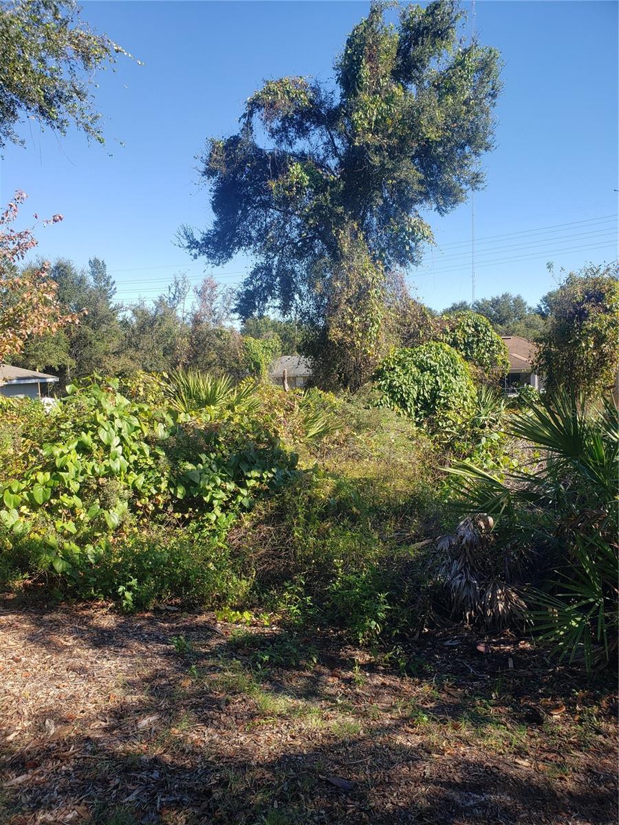 Photo of CHESTNUT AVENUE ORANGE CITY FL 32763
