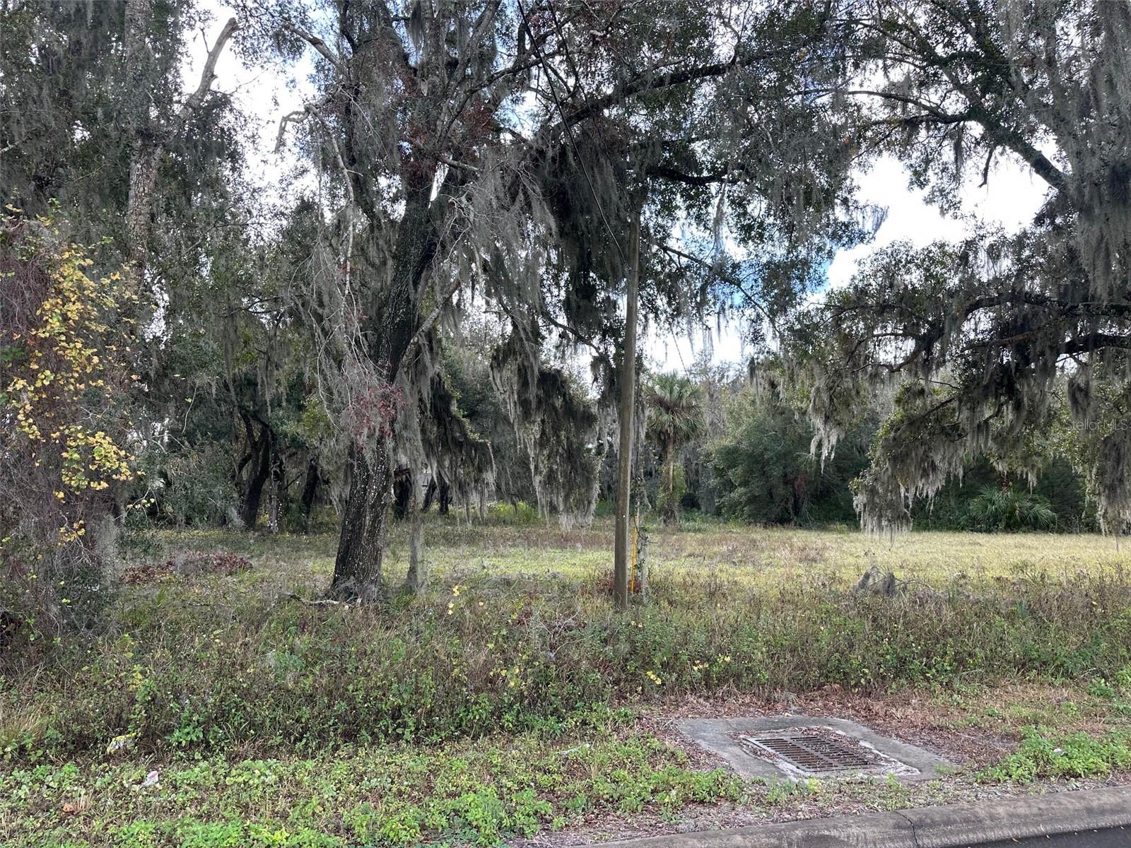 Photo of DOYLE ROAD OSTEEN FL 32764