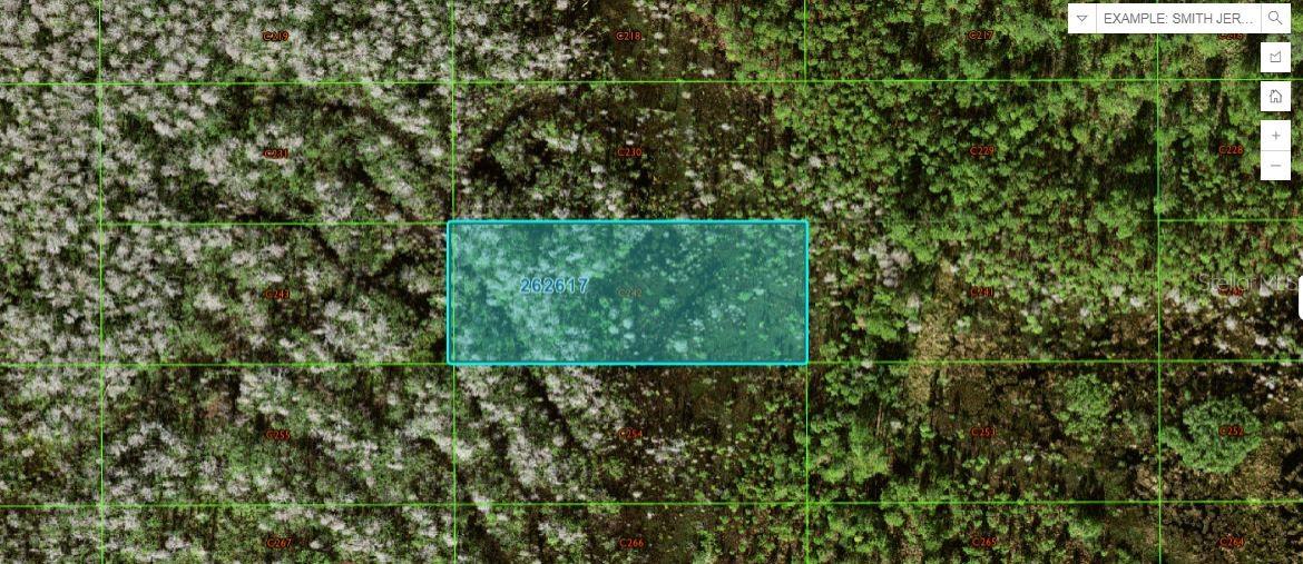 Photo of OLD GRADE RD POLK CITY FL 33868