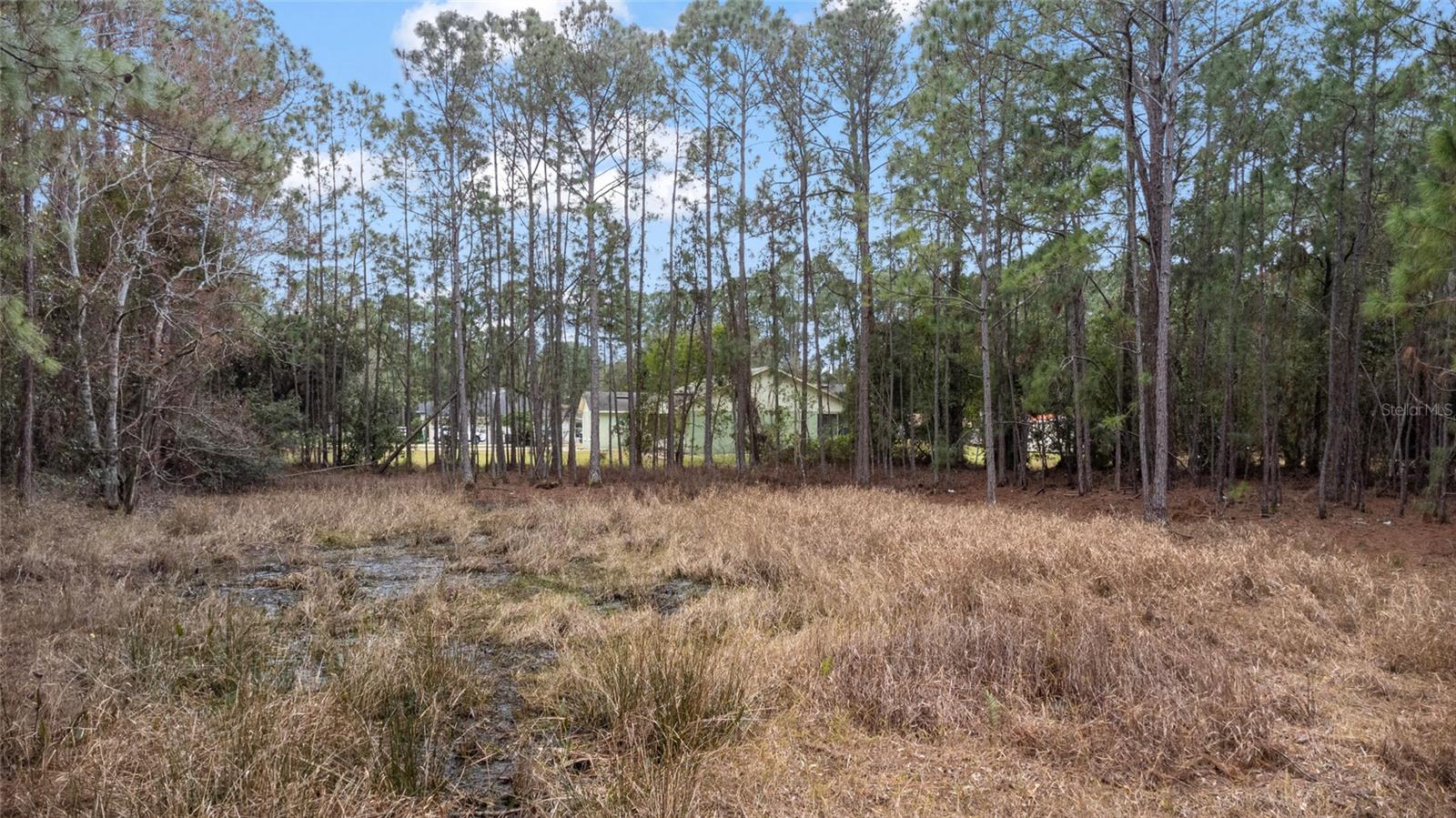 Photo of SANCTUARY AVENUE DEBARY FL 32713