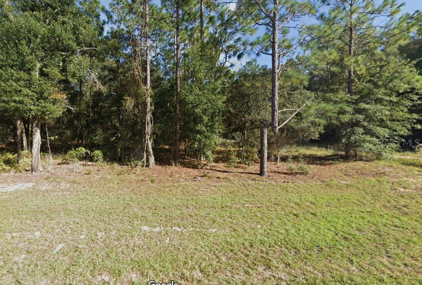 Photo of MISSOURI AVENUE HAWTHORNE FL 32640