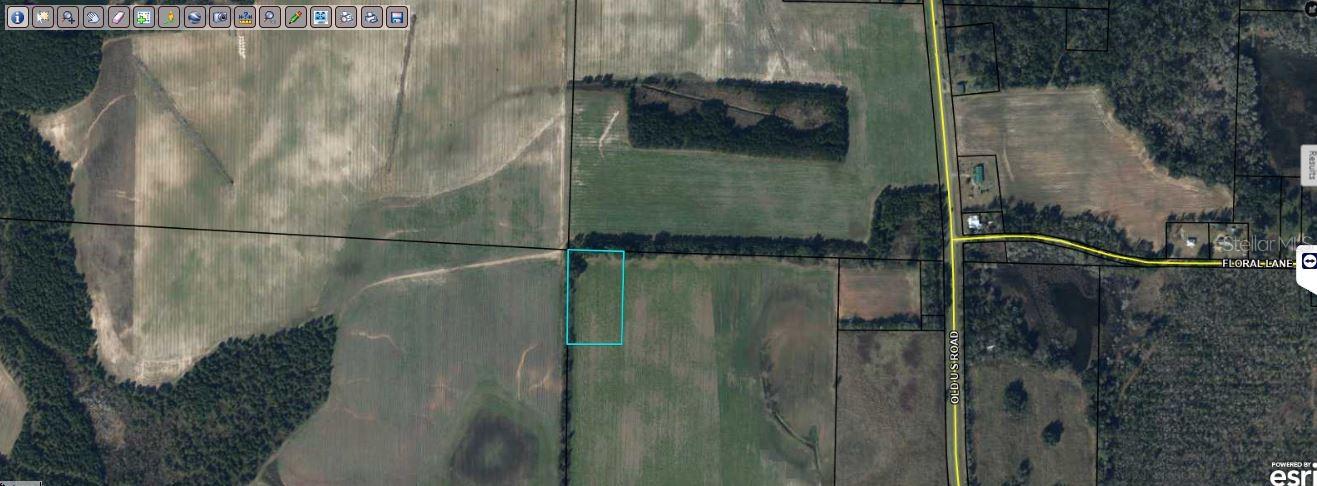 Photo of OLD U S RD MARIANNA FL 32446