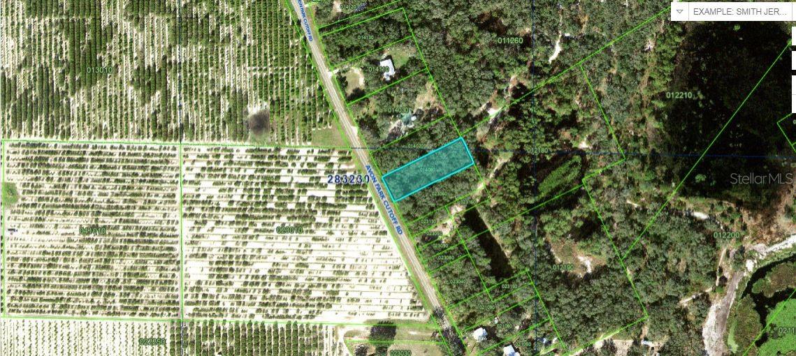 Photo of AVON PARK CUTOFF ROAD FROSTPROOF FL 33843