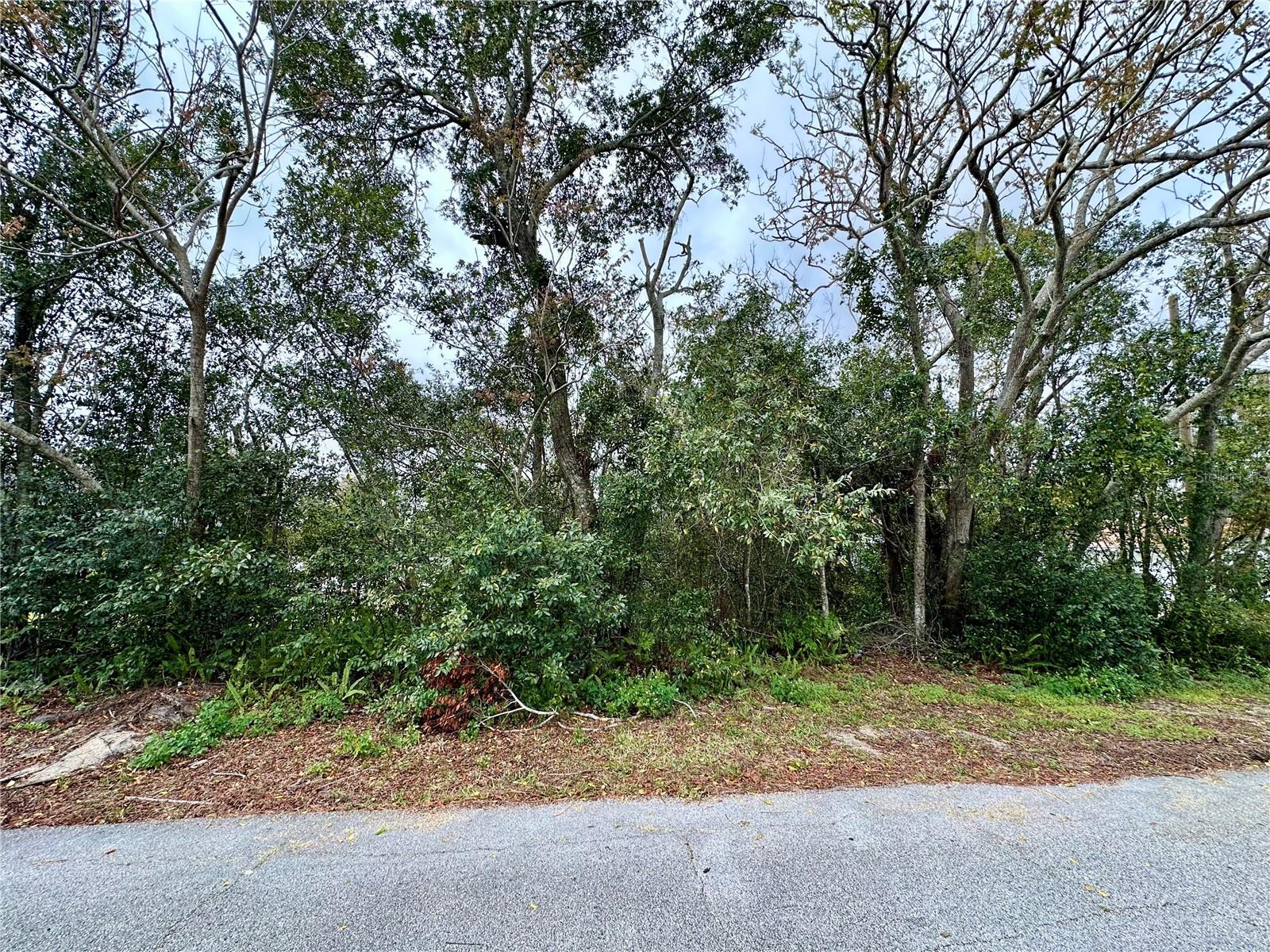 Photo of 761 ARLENE DRIVE DELTONA FL 32725