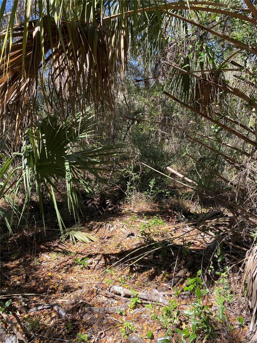Photo of 2519 W PLUMTREE LANE DUNNELLON FL 34433