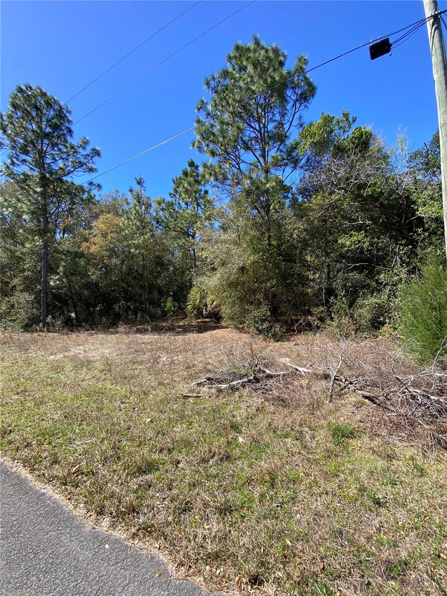 Photo of 8630 N CATAPANE LOOP CRYSTAL RIVER FL 34428