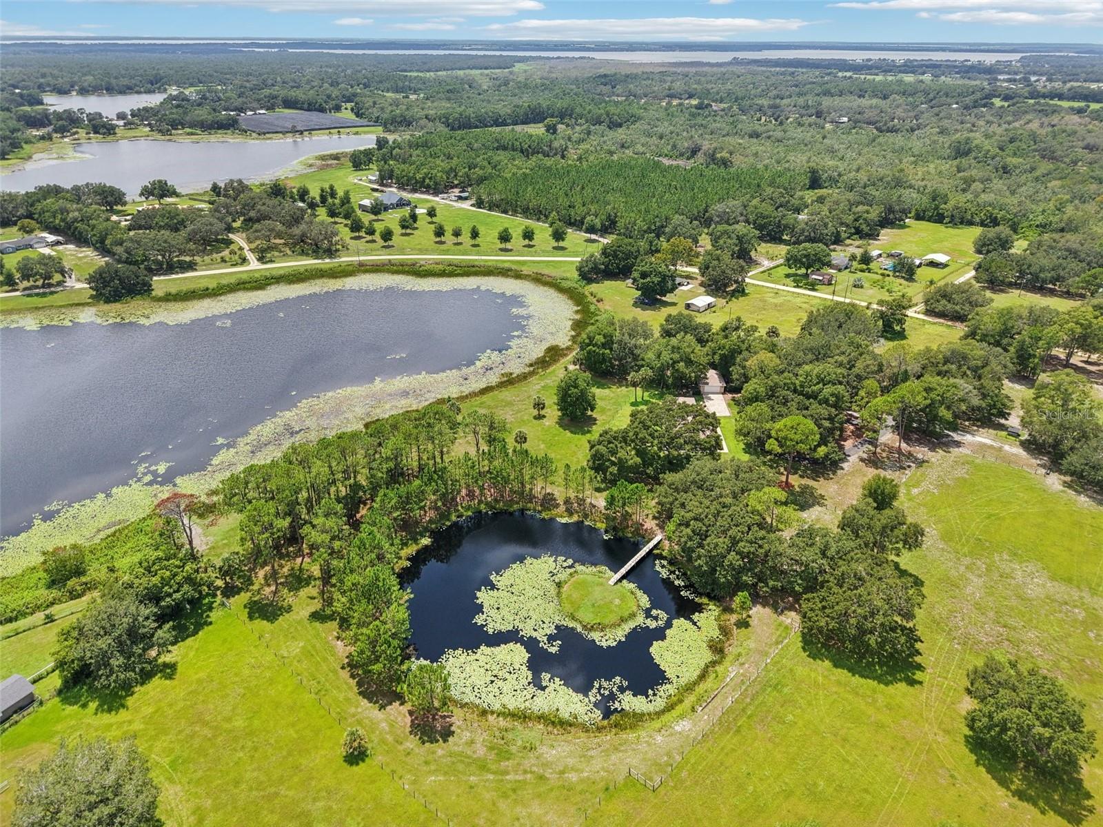 Photo of 40610 BABB ROAD UMATILLA FL 32784
