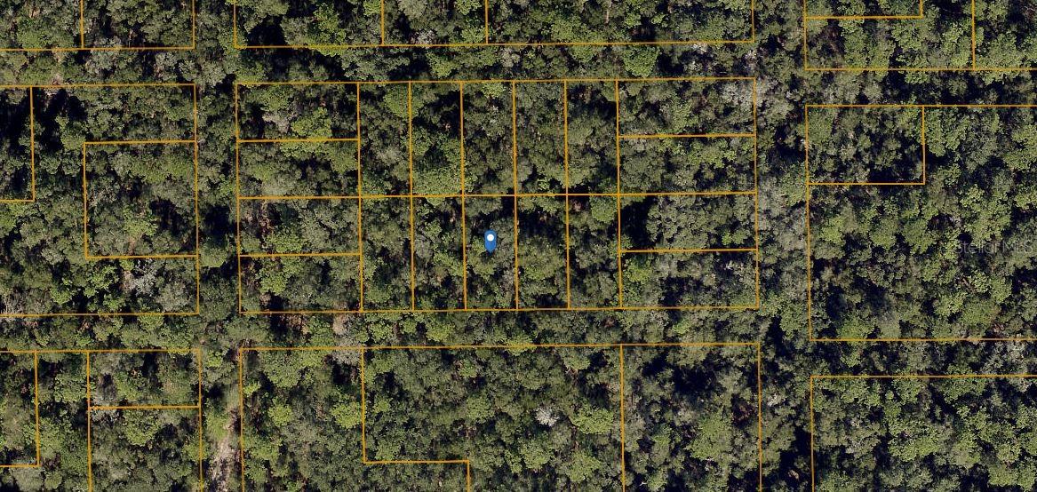 Photo of HAMILTON AVE ORANGE CITY FL 32763