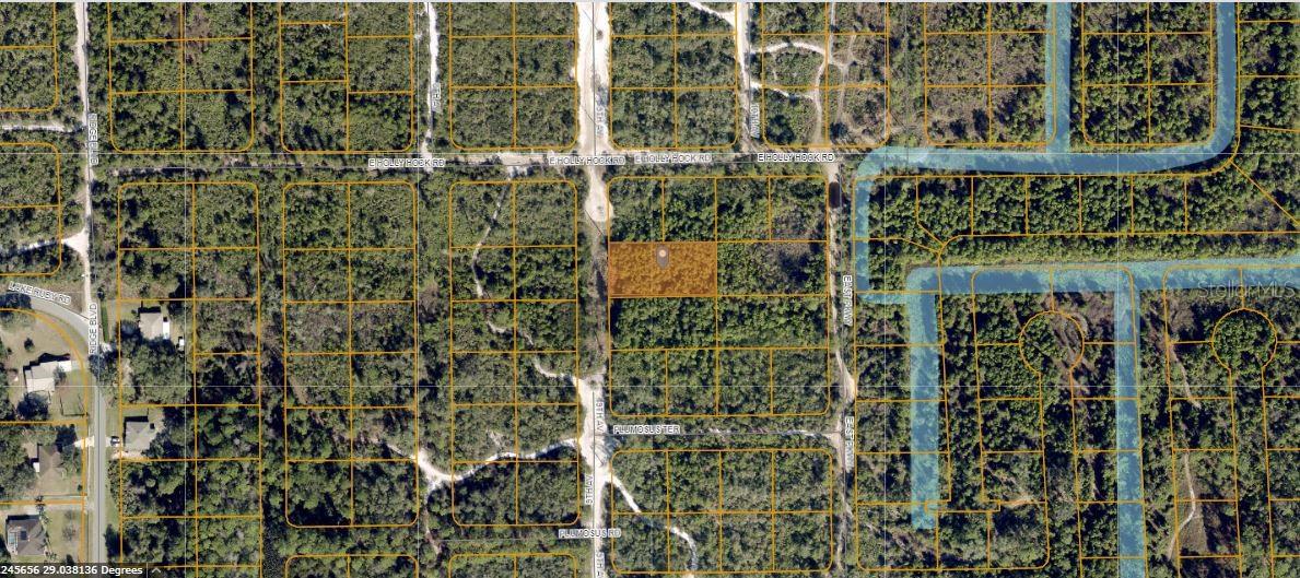 Photo of HOLLYHOCK E DELAND FL 32724