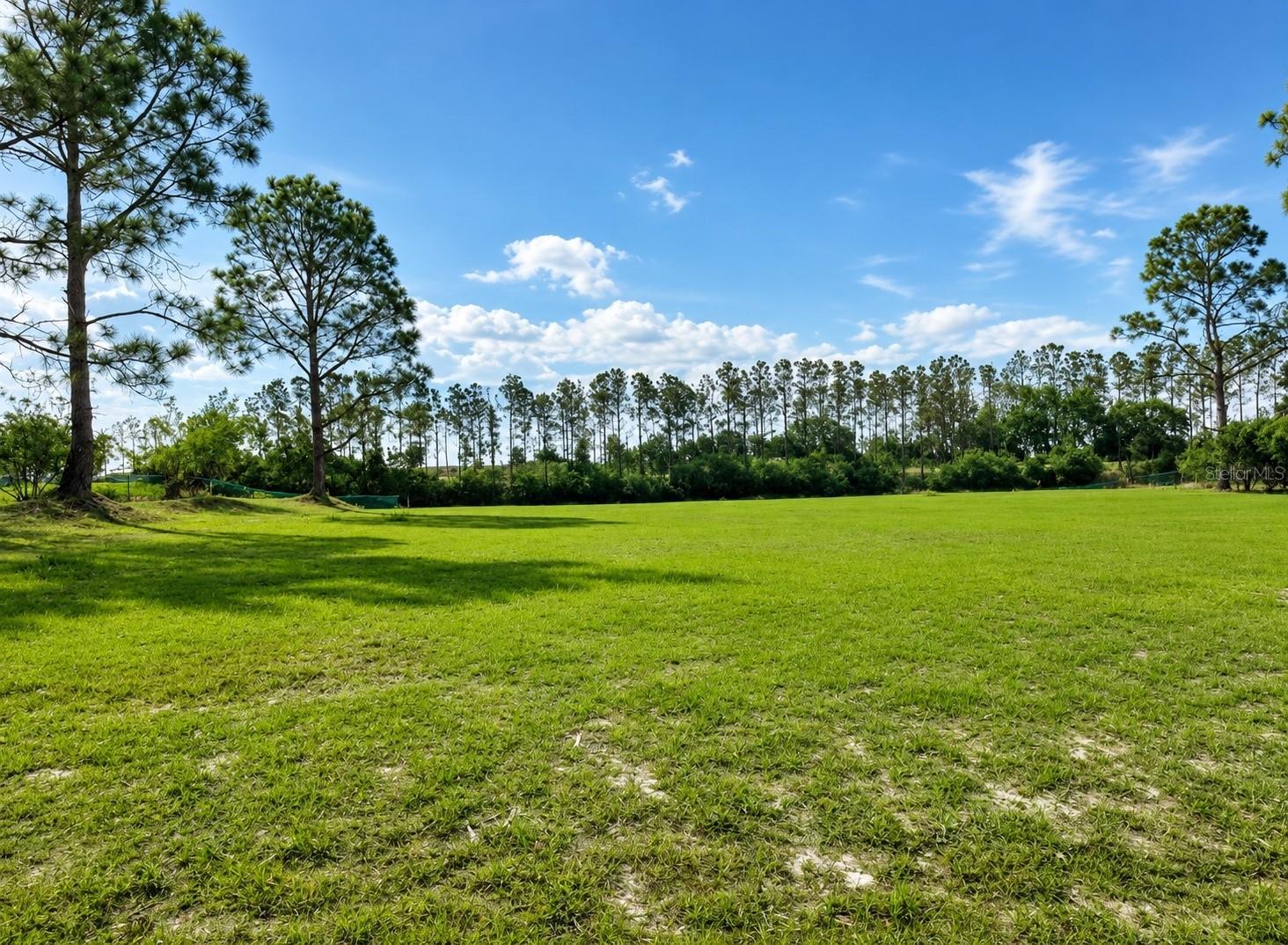 Photo of LAKE DENISE BOULEVARD CLERMONT FL 34711